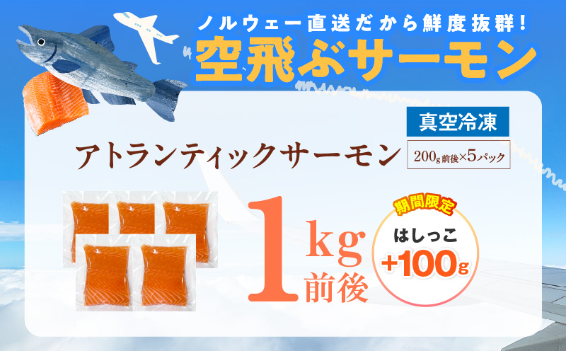 【期間限定】アトランティック サーモン 1kg前後＋はしっこ100g【小分け 200g×5P 刺身 海鮮 カルパッチョ ムニエル 北国からの贈り物】 099H3606-2