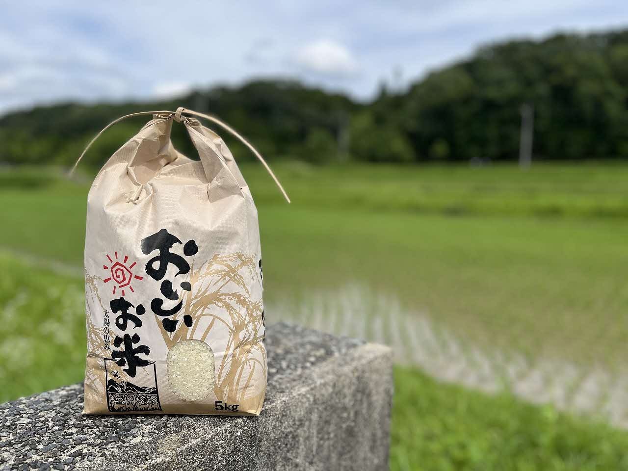 
            米 令和7年産 加東市東条地区産 ヒノヒカリ 白米 10kg（5kg×2） [ 新米 お米 こめ コメ ]
          