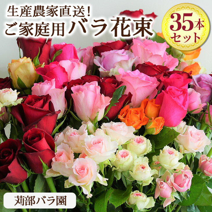 【ふるさと納税】訳あり　生産農家直送！ご家庭用バラ花束35本セット 簡易包装 ※沖縄・離島への配送不可| バラ 薔薇 ばら 花束 自宅用 鑑賞 インテリア 新鮮 摘みたて 採れたて 茨城県 古河市 苅部ばら園 送料無料 おしゃれ 綺麗 きれい 鮮やか _AL02