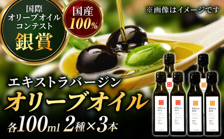 【11月中旬から順次発送予定】農園がテレビで紹介されました！ 能美島ブレンドマイルド 江田島ブレンドミディアム オリーブオイルセット 計6本（各100mL×3本） 江田島市/瀬戸内いとなみ舎合同会社[XBB053]