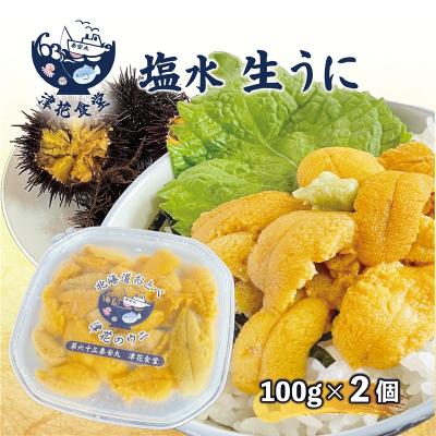 ふるさと納税 乙部町 漁師の手作り本物の味!生塩水ウニ ミョウバン不使用【津花食堂 塩水ウニ:100g×2パック】