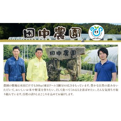 ふるさと納税 日高町 令和7年度 ゆめぴりか&amp;おぼろづき 各5kg 10kg 田中農園《30日以内出荷予定(土日祝除く)》