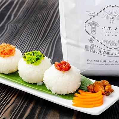 ふるさと納税 十日町市 【毎月定期便】魚沼産コシヒカリ「イネノハ」精米(3kg×3個)×6回【合計54kg】全6回 |  | 01