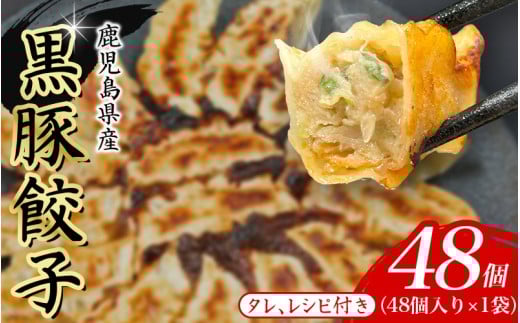 黒豚 冷凍餃子 48個 / ぎょうざ グルメ 人気 おすすめ 餃子 惣菜 豚 肉 お肉 ぎょーざ 高評価餃子 おかず 晩ご飯 食品 加工品 大阪府 豊中市 焼き餃子 焼餃子 人気ラーメン店 げんこつ