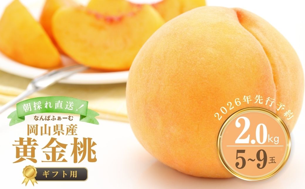 【2026年先行予約】［なんばふぁーむ］岡山県産 黄金桃 2.0kg（5?9玉）[ギフト用]【039-a009】