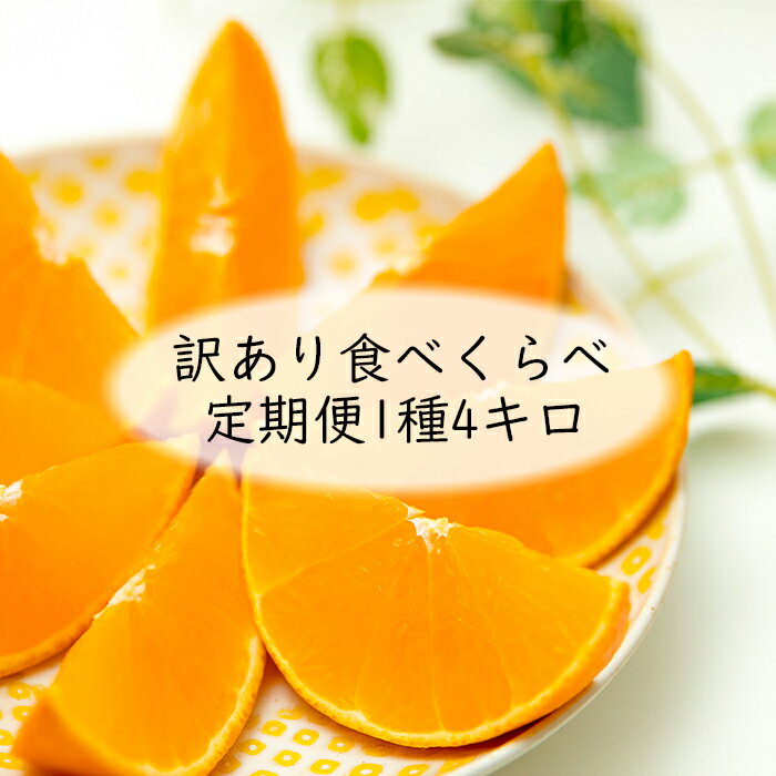 【ふるさと納税】野菜ソムリエ石児さんの訳ありミカン食べくらべ定期便1種4キロ(1月・2月・3月) みかん 柑橘類 定期便 訳あり 先行予約 温州みかん ポンカン アンコール 1月 2月 3月 フルーツ ＜103-805＞