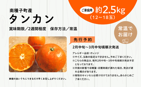 《 先行予約 》【2024年2月中旬～3月中旬頃順次発送】種子島産タンカン(ご家庭用)約2.5kg（12～18玉）【南種子町果樹部会】