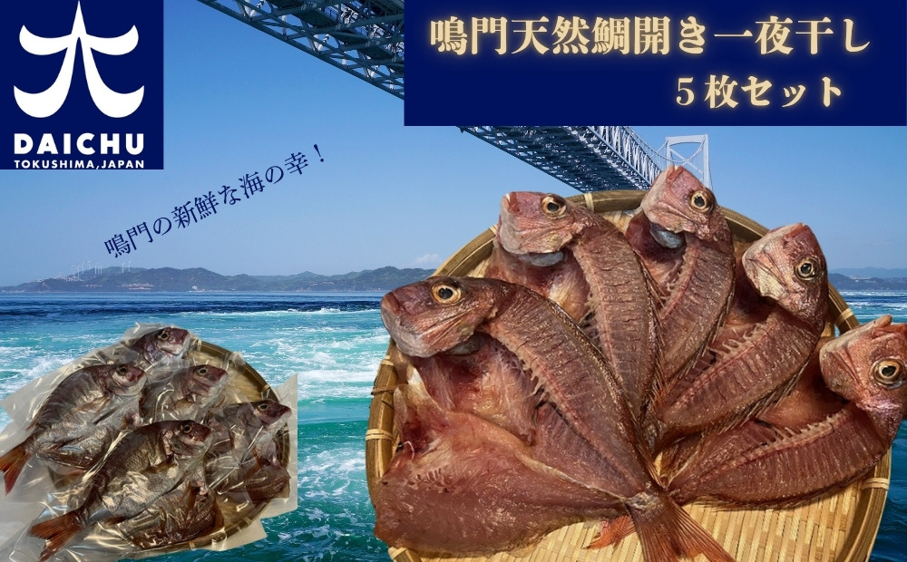 
            鳴門天然鯛開き一夜干し5枚セット（1.5㎏）　鳴門 魚 鯛 天然鳴門鯛 タイ 新鮮 一夜干し 冷凍 無添加 鳴門の塩
          