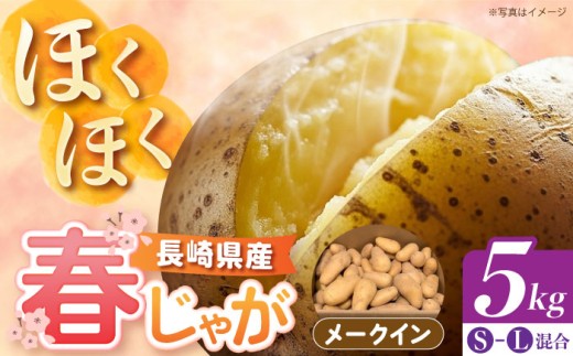 長崎県産 春作じゃがいも メークイン 5kg 【先行予約/2026年5月〜発送】長崎県/オースタイルファーム株式会社 [42ALAD002] じゃがいも ポテト 長崎 雲仙 ジャガイモ 馬鈴薯 じゃが芋 春じゃが メイクイーン 野菜 産地直送 旬 いも 芋  サイズ混合