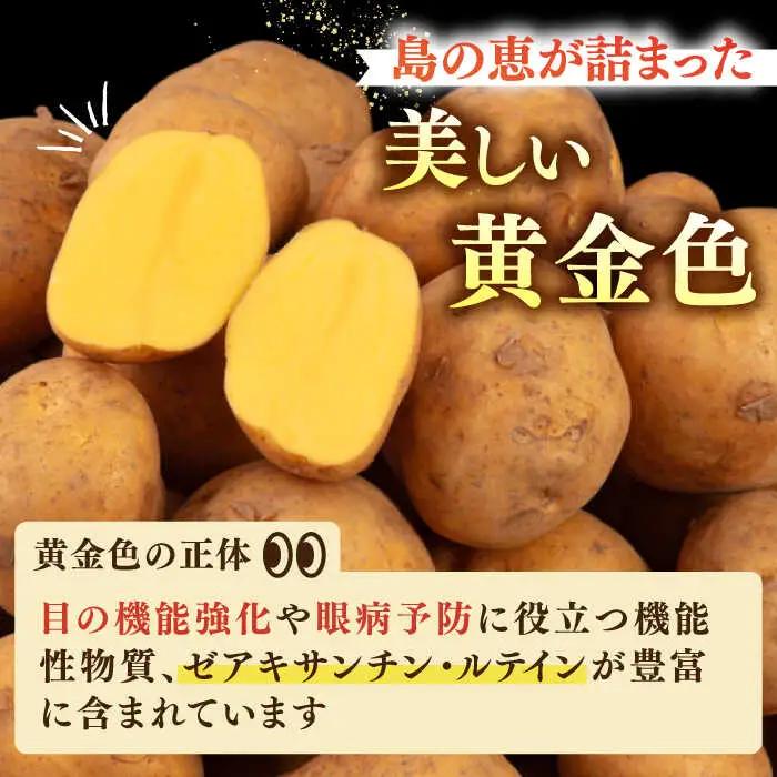 【先行予約】壱岐黄金じゃがいも 5kg [JBO139] じゃがいも 旬野菜