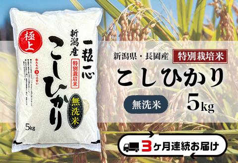 48-6M053【3ヶ月連続お届け】【無洗米】新潟県長岡産特別栽培米コシヒカリ5kg