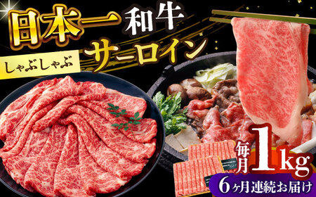 【6回定期便】【厳選部位】A4-A5 長崎和牛 サーロイン サーロイン しゃぶしゃぶ すき焼き用 (500g×2)   [DBS107]