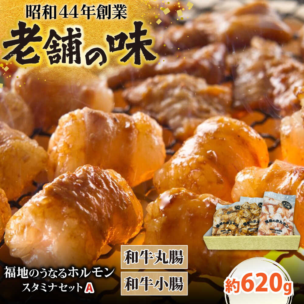 【ふるさと納税】スタミナセットA　（和牛丸腸・小腸）計620g 日田市 / 福地のうなるホルモン ホルモン スタミナ セット 和牛 丸腸[ARAY003]