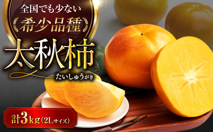 【先行予約】【10月上旬から順次発送】【期間・数量限定】柿の概念を超えたサクサク食感！愛媛県産 太秋柿 2Lサイズ 約3kg化粧箱入（12玉入り）かき カキ 柿 果物 フルーツ 愛媛県大洲市/愛媛たいき農業協同組合[AGAO004]