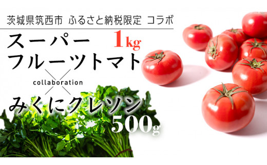 
【 筑西市 ふるさと納税限定 コラボ 】 スーパーフルーツトマト小箱 1kg×1箱 【 大玉7〜13玉/1箱 】 みくにクレソン100g×5袋 糖度9度以上 美容 健康 スーパーフード サラダ セット [ZZ019ci]
