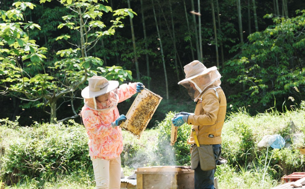 あさひのはちみつ　200g （新緑の味）