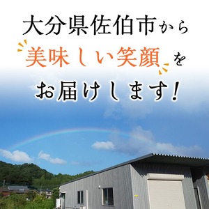 ＜定期便・全4回＞ギフト用品質！九州産 ひもの 季節の 定期便 (総計35枚) 定期 干物 鯛 かます さば サバ あじ アジ 開き 魚 海鮮 冷凍 ひもの 小分け 惣菜 おかず セット ギフト 贈り