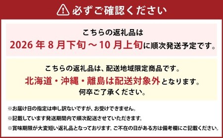 岡山県産 ニューピオーネ 4房 （1房480g以上） 約2kg 【2026年8月下旬-10月上旬迄発送予定】 ／ 葡萄 ぶどう 果物 果実 フルーツ 種なし 岡山県 美咲町 冷蔵