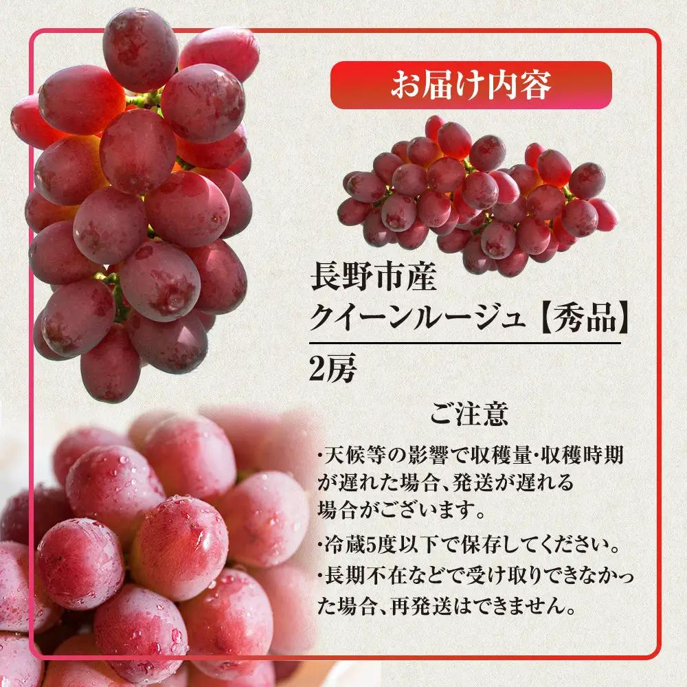 タマファーム　長野市産 クイーンルージュ 【秀品】2房  |ぶどう 葡萄 フルーツ 果物