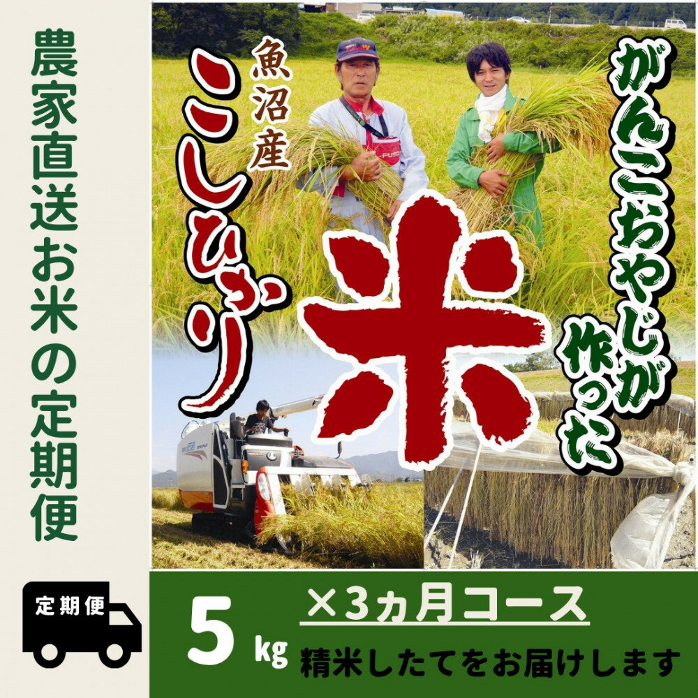 【ふるさと納税】【令和7年産】3か月定期便　がんこおやじが作った南魚沼産コシヒカリ白米5kg