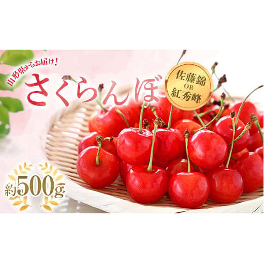 【令和8年産先行予約】 さくらんぼ 「佐藤錦または紅秀峰」 約500g (秀 L以上) バラ詰め 《令和8年6月上旬～発送》 『南陽中央青果市場』 サクランボ 果物 山形県 南陽市 [1203]