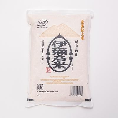 ふるさと納税 弥彦村 【伊彌彦米とパックごはんセット】精米2kg×4袋 パックごはん8パック ブランド米 新潟県 弥彦村 |  | 01