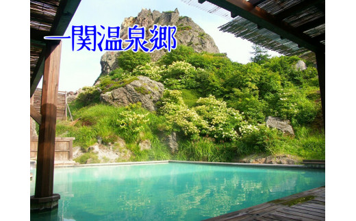 
全ての泉質が違う！６ヶ所から選べる 一関温泉郷 協議会 施設利用券(15,000円分)
