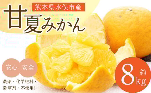 甘夏みかん 8kg みかん オレンジ 柑橘【2026年2月下旬～4月下旬発送】