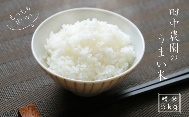 100年続く田中農園のうまい米 夢つくし 「田中茂米」 精米 5kg 米 お米