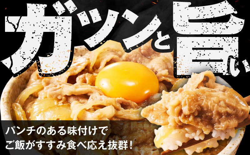 スタミナ丼の具 1.5kg（150g×10パック）湯煎 簡単調理【大阪 泉佐野 大阪府 泉佐野市】