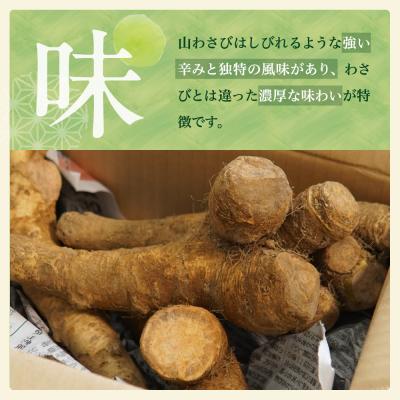 ふるさと納税 芽室町 北海道芽室町 十勝産山わさび(土付き3kg)me064-002b |  | 01