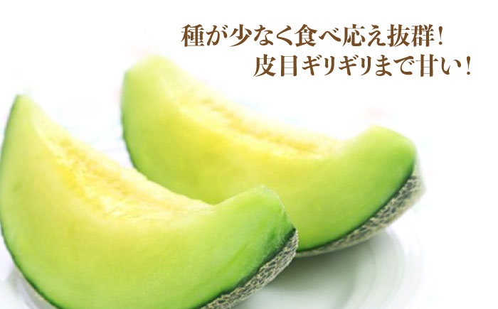 【2026年6月中旬～発送】肥後 グリーンメロン 大玉 2玉 (合計4kg以上) / フルーツ 果物 / 南島原市 / 長崎県農産品流通合同会社 [SCB063]