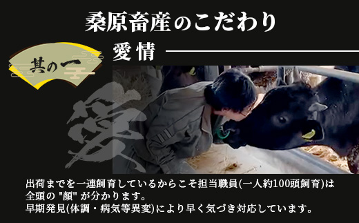 A5等級 佐賀牛 厳選部位 400g しゃぶしゃぶ すき焼き用 B-558
