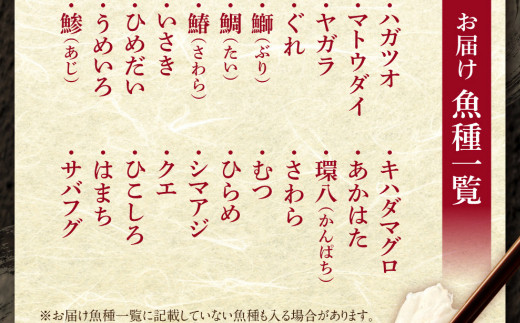 ほんとに美味しい！室戸のお刺身　３～５種盛り合わせお楽しみセット（４人前）　hn104