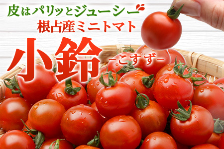 田淵さんちの美味しい ミニトマト 小鈴（1.0kg）| 野菜 トマト ミニトマト 産地直送 ミニトマト 新鮮 トマト 南大隅町産 ミニトマト おいしい  ミニトマト