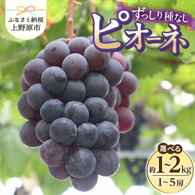 【ふるさと納税】 ＼2026年先行予約／ 山梨県産 ピオーネ 種なし 約1kg～2kg 1〜5房 ぶどう 葡萄 ブドウ 黒ぶどう 果物 くだもの 山梨 先行 予約 旬 フルーツ デザート 甘い ジューシー お取り寄せ 人気 厳選 山梨県 上野原市 送料無料 ※沖縄県・離島不可