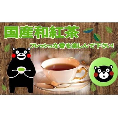 ふるさと納税 甲佐町 国産和紅茶ティーパック(くまモンの緑缶付き)