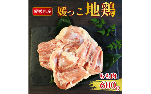 地鶏 愛媛 媛っこ地鶏 もも肉 約600g 鶏肉 鳥肉 肉 チキン むね 焼肉 焼き鳥  BBQ 冷凍 国産 高級 タンパク質 低脂肪 糖質 唐揚げ チキン南蛮 サラダチキン スープ 出汁 愛南町 送料無料 ローカルスタンダード