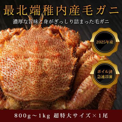 ふるさと納税 稚内市 2026年新物【ボイル済み急速冷凍】身がパンパンに詰まった毛ガニ800g〜1kg(超大サイズ)×1尾