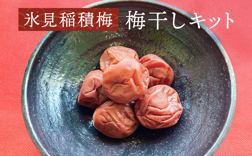 氷見稲積梅　梅干しキット 富山県 氷見市 梅干し キット 手作り 梅