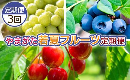 【定期便3回】やまがた 若夏のフルーツ定期便 【令和8年産先行予約】FS25-700 くだもの 果物 フルーツ 山形 山形県 山形市 2026年産