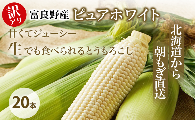 【2026年夏発送】訳あり とうもろこし ピュアホワイト 20本 富良野産 生で食べられる コーン