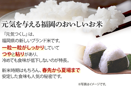 令和7年産　福岡県産ブランド米「元気つくし」白米20kg【11月上旬頃より順次出荷予定】
