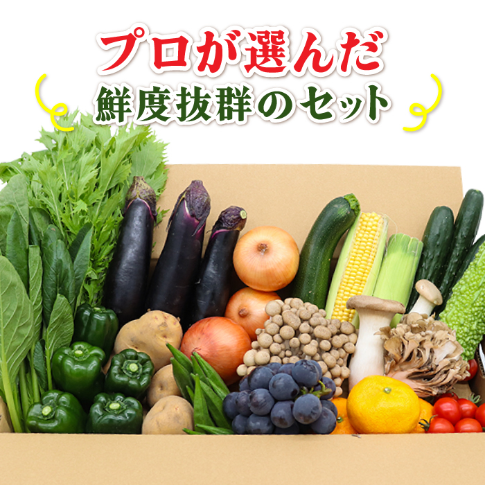 【定期便 毎月コース】豪華！野菜 セット 15品目以上 12回 定期  /  野菜 フルーツ きのこ バラエティ 詰め合わせ 南島原市 / 吉岡青果 [SCZ019]_イメージ3