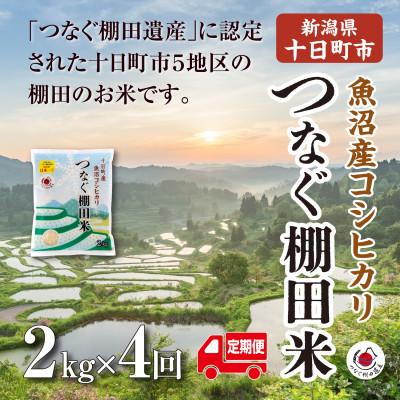 ふるさと納税 十日町市 【毎月定期便】新潟県十日町市魚沼産コシヒカリ「つなぐ棚田米」精米2kg全4回