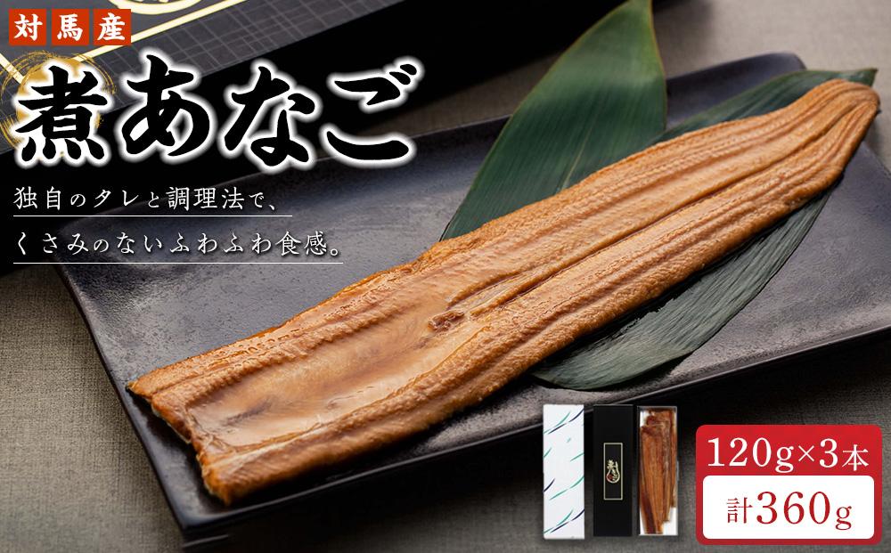 年内発送　長崎 対馬産 煮あなご 120g×3本 セット 冷凍 真空