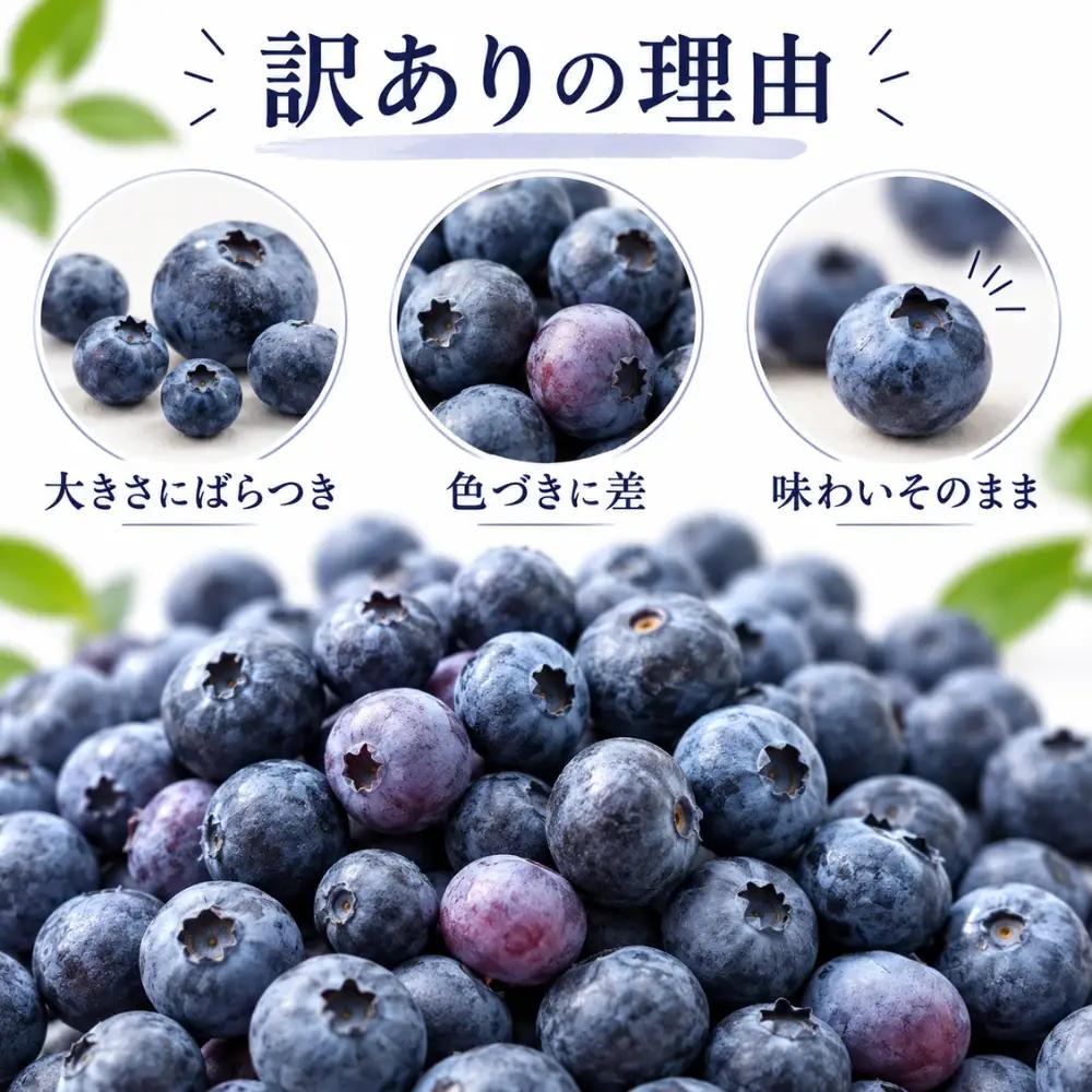 ブルーベリー 冷凍 訳あり 1kg フルーツ ベリー 果物 先行予約 2027年発送