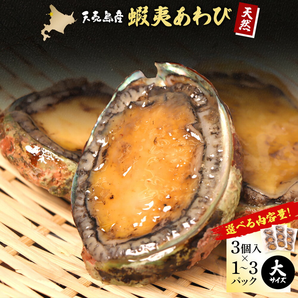 【ふるさと納税】【選べる内容量！】【北海道】天売島産 天然蝦夷あわび 大サイズ 3個入×1〜3パック (1個 約100g〜140g) | 天然 あわび 殻付き 海鮮 おつまみ 魚介類 高級 食材 冷凍 刺身 バター焼き グルメ 特別 凝縮 北海道 天売島 お取り寄せ マリナシーフーズ 羽幌町