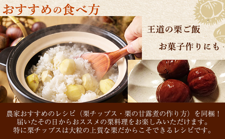 ＜大粒生栗 約1kg 3L～5Lサイズ＞『9月上旬から順次出荷予定』 和栗 生栗 くり皮つき おおつぶ 大きい 幻の栗 甘い 新鮮 栗ごはん 栗きんとん 渋皮煮 甘露煮 旬 国産栗 お取り寄せ 旬 特