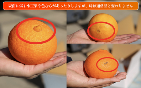 愛果28号 (紅まどんな と同品種) 訳あり 家庭用 5kg 【MCF018】